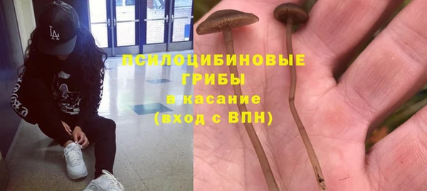мдпв Инсар