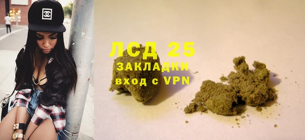 ПСИЛОЦИБИНОВЫЕ ГРИБЫ Каменногорск