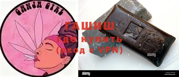 мдпв Инсар