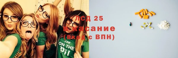 ПСИЛОЦИБИНОВЫЕ ГРИБЫ Каменногорск