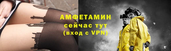 мдпв Инсар