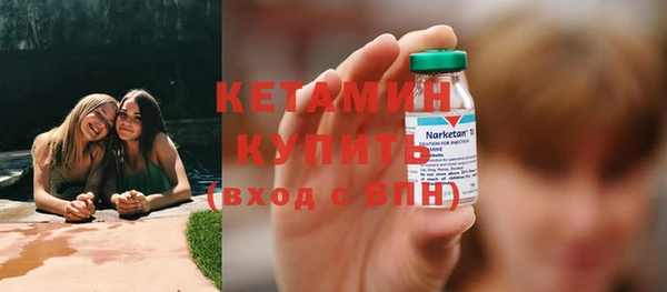 мдпв Инсар