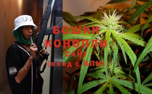 ПСИЛОЦИБИНОВЫЕ ГРИБЫ Каменногорск