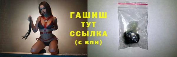 мдпв Инсар