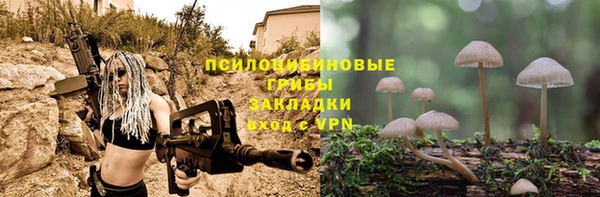 ПСИЛОЦИБИНОВЫЕ ГРИБЫ Каменногорск