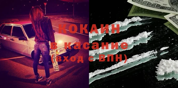 мдпв Инсар