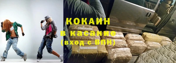 мдпв Инсар