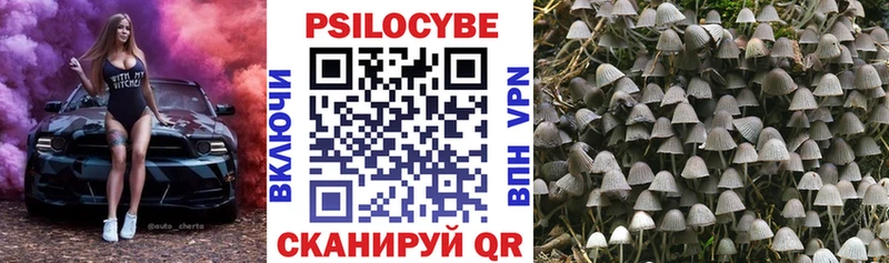 Галлюциногенные грибы мицелий  Купить закладки  Дальнегорск 