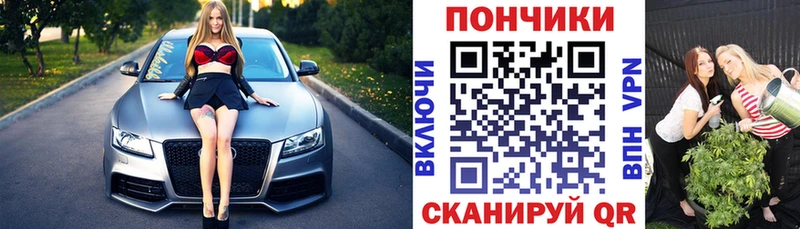 Бошки марихуана MAZAR  Купить где  Дальнегорск 